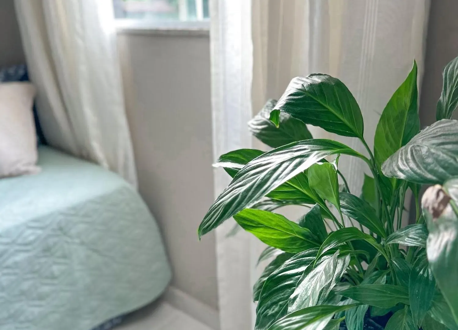 Appartement Hospedagem Zilz Pomerode Brésil